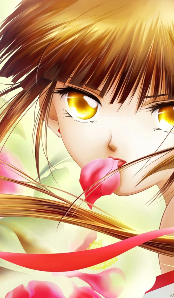 Принцесса вампиров