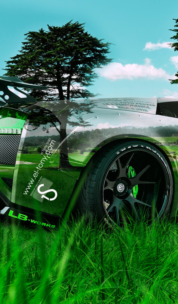 Lamborghini Murcielago в траве