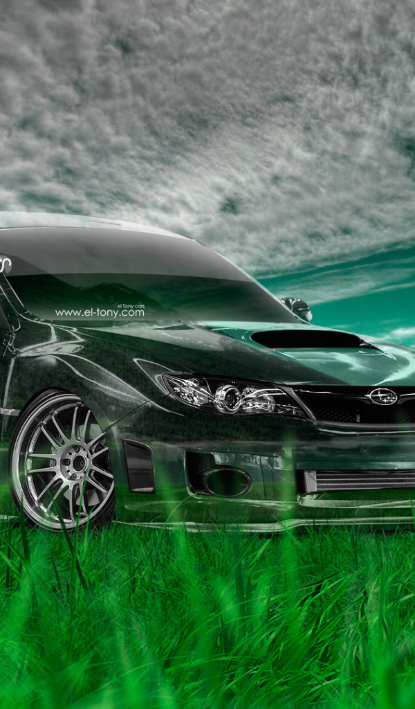 Subaru impreza на природе