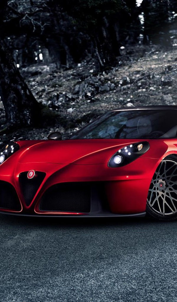 Гоночный Alfa Romeo 4C 2014 года