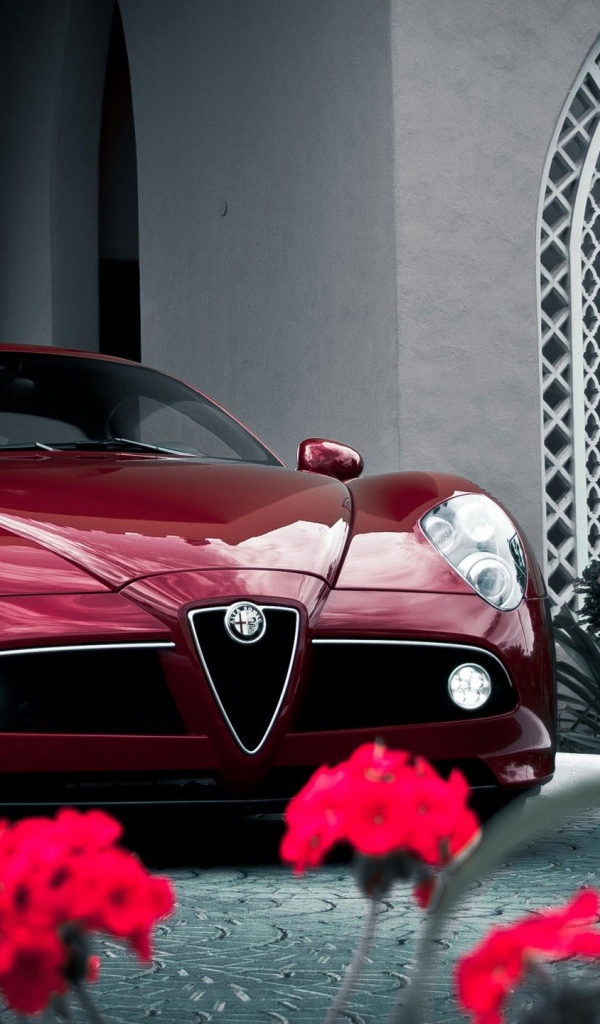 Car Alfa Romeo