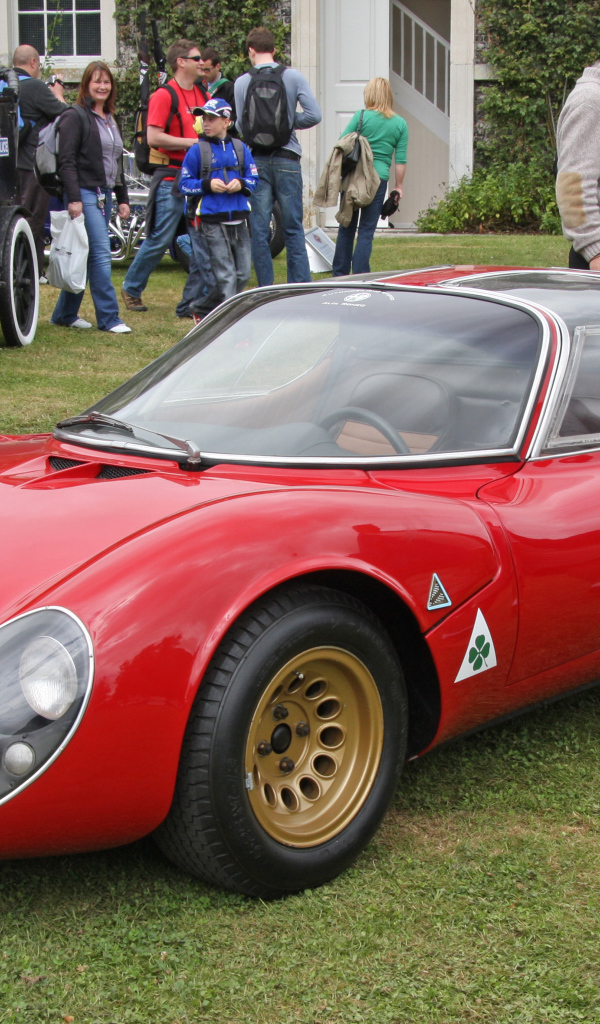 Дизайн автомобиля Alfa Romeo 33