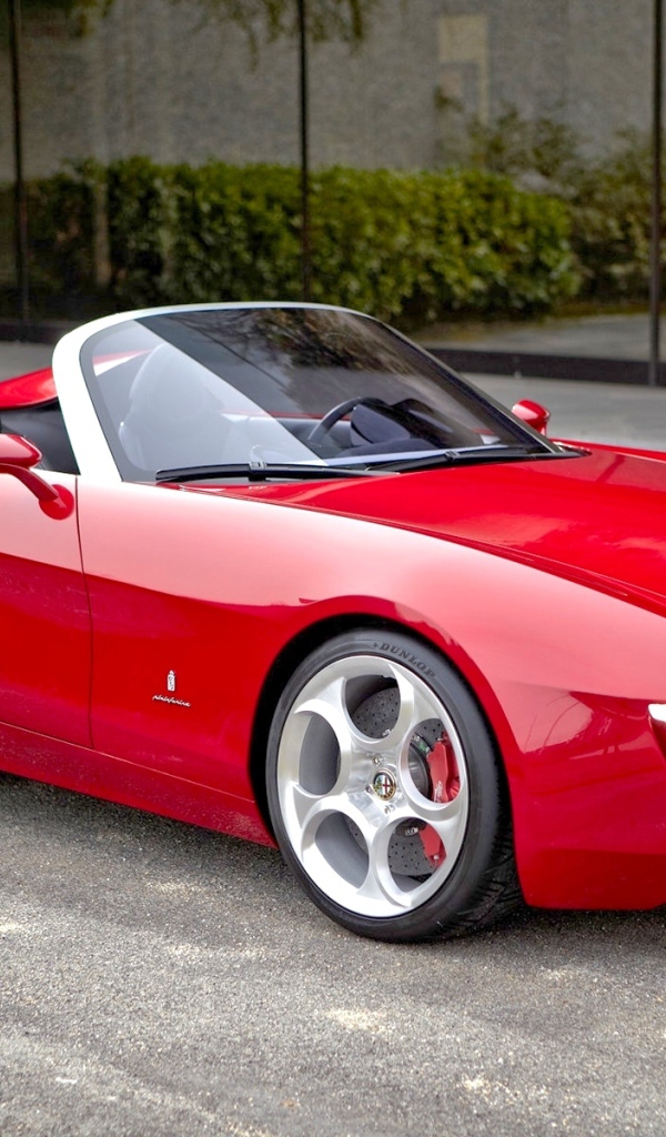 Фото автомобиля Alfa Romeo 33