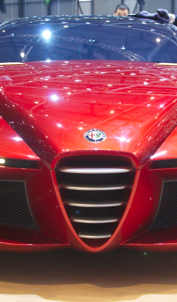 Фото автомобиля Alfa Romeo gloria