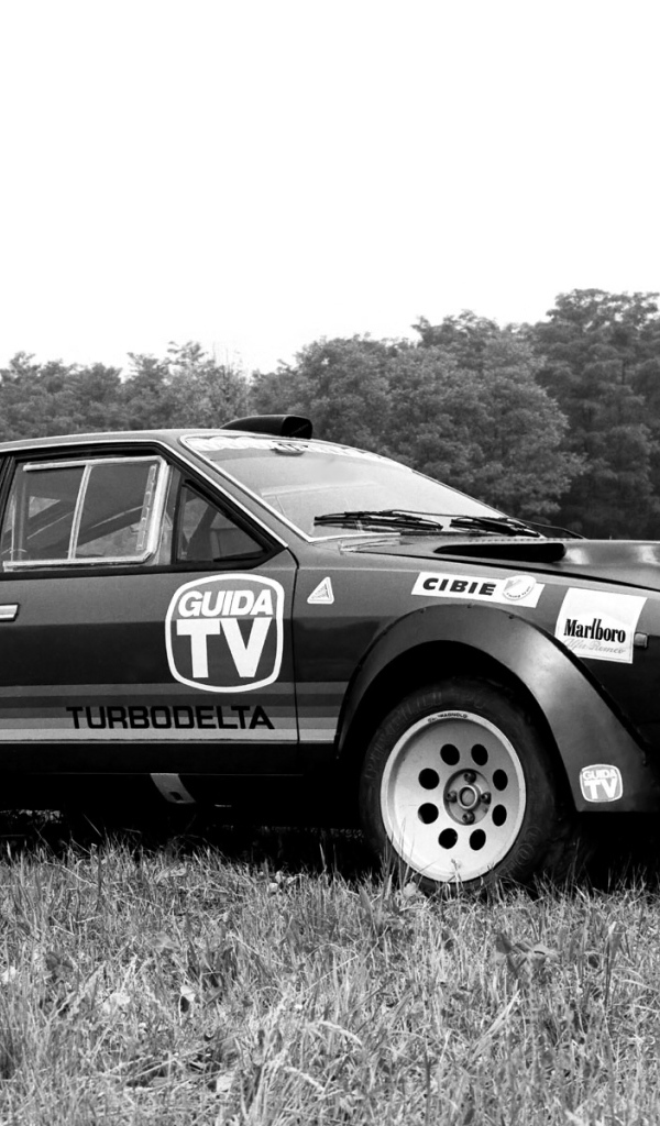 Надежный автомобиль Alfa Romeo alfetta