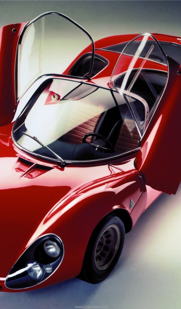 Тест драйв автомобиля Alfa Romeo 33