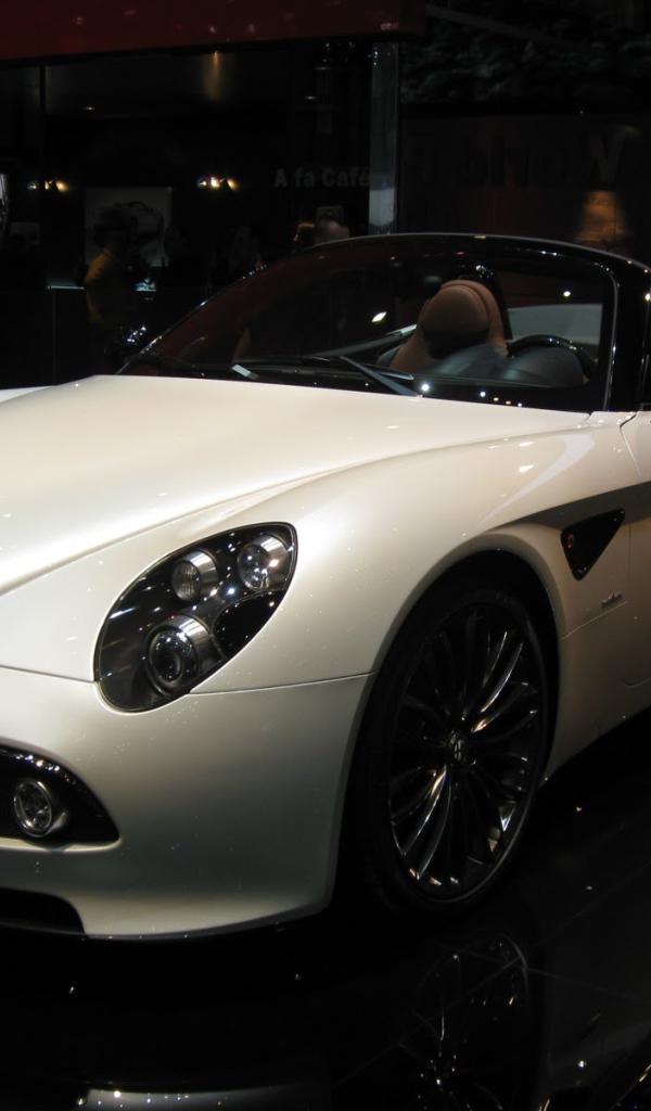 Тест драйв автомобиля Alfa Romeo 8c spider