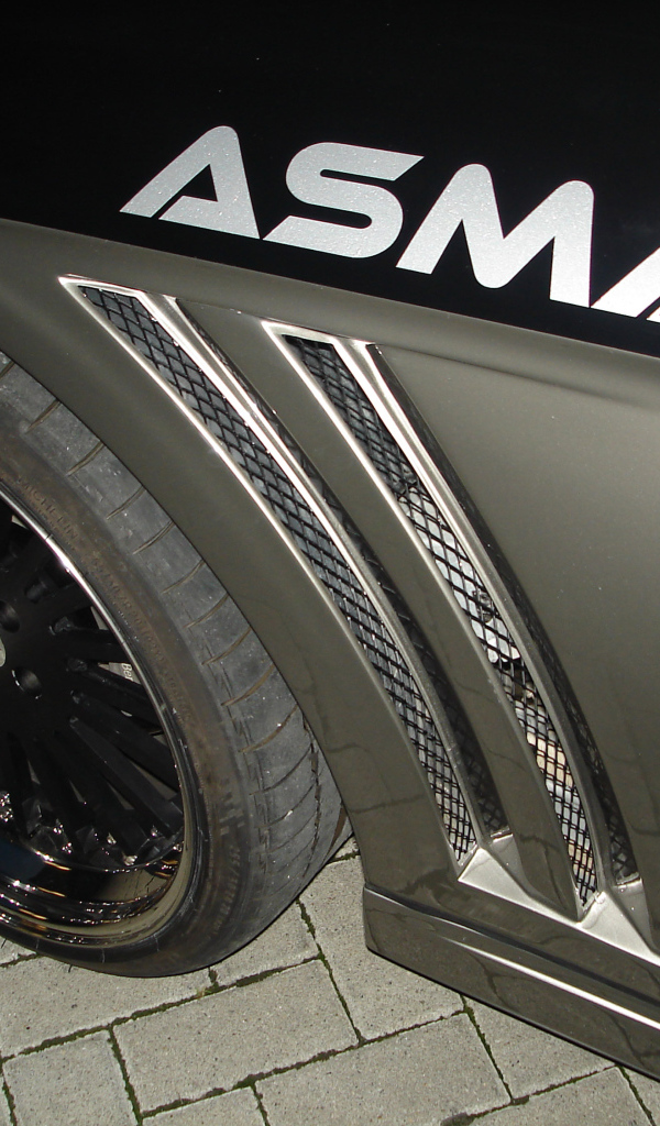 Черная Asma Tavan 2013