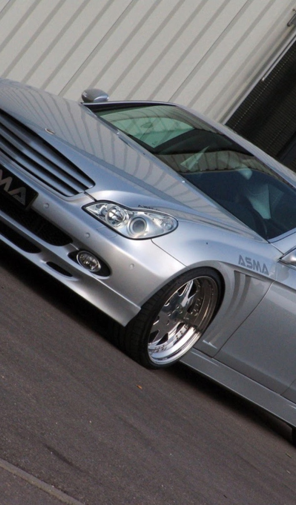 Серебристая Asma Tavan 2013