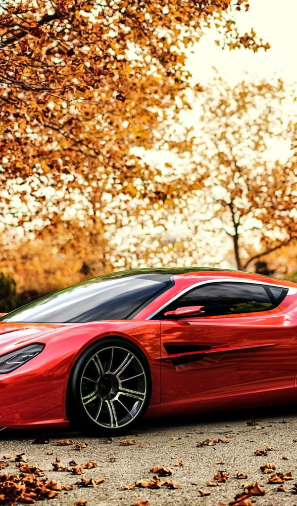 Тест драйв автомобиля Aston Martin 2014