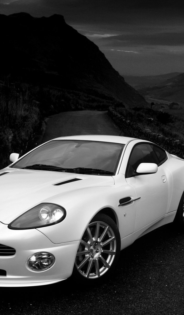 Тест драйв автомобиля Aston Martin v12