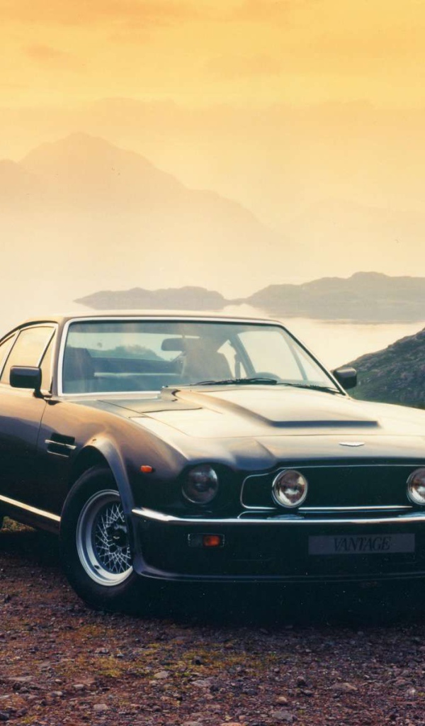 Тест драйв автомобиля Aston Martin v8 vantage