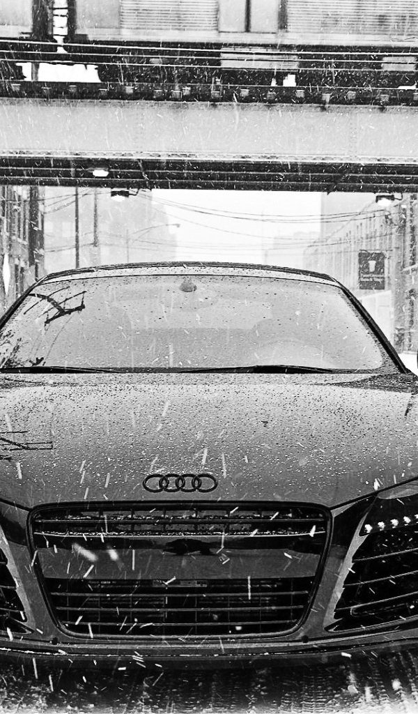 Красивый автомобиль Audi 2013 в Москве