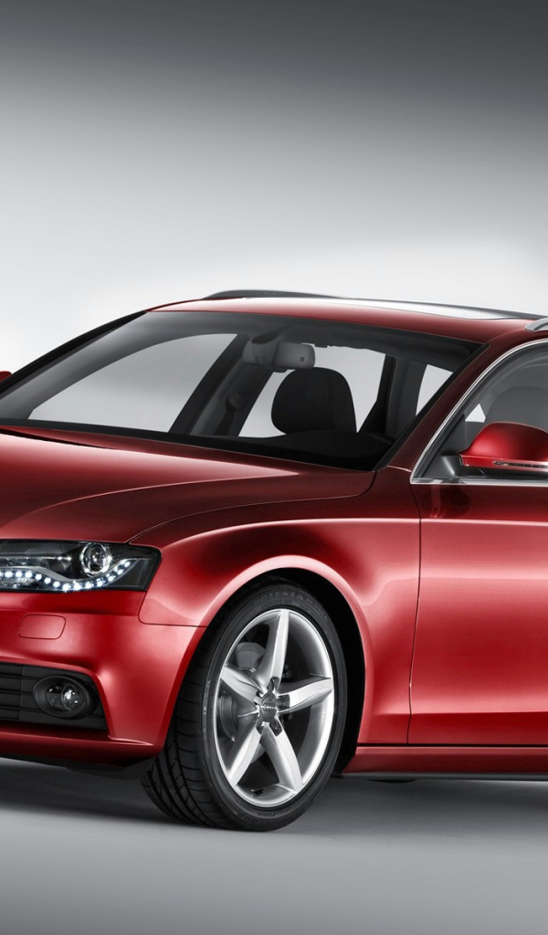 Красивый автомобиль Audi avant в Москве