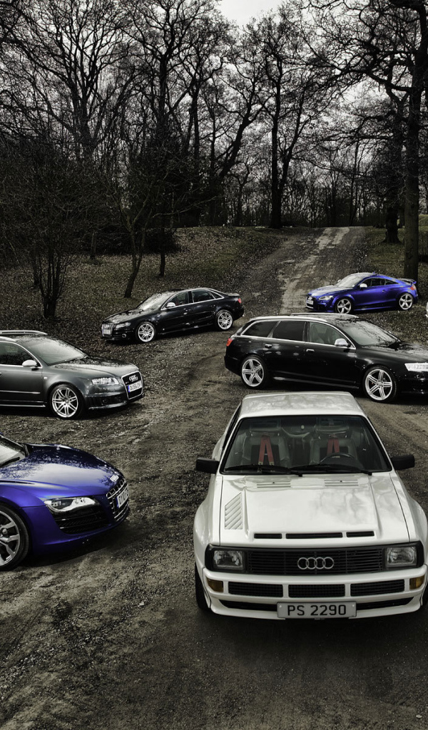 Красивый автомобиль Audi quattro