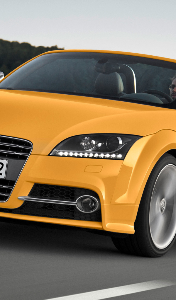 Автомобиль марки Audi модели TT 2014 года