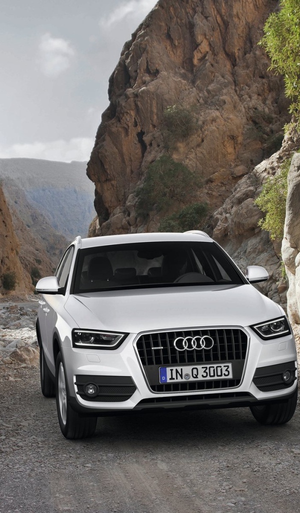 Великолепный Audi Q3