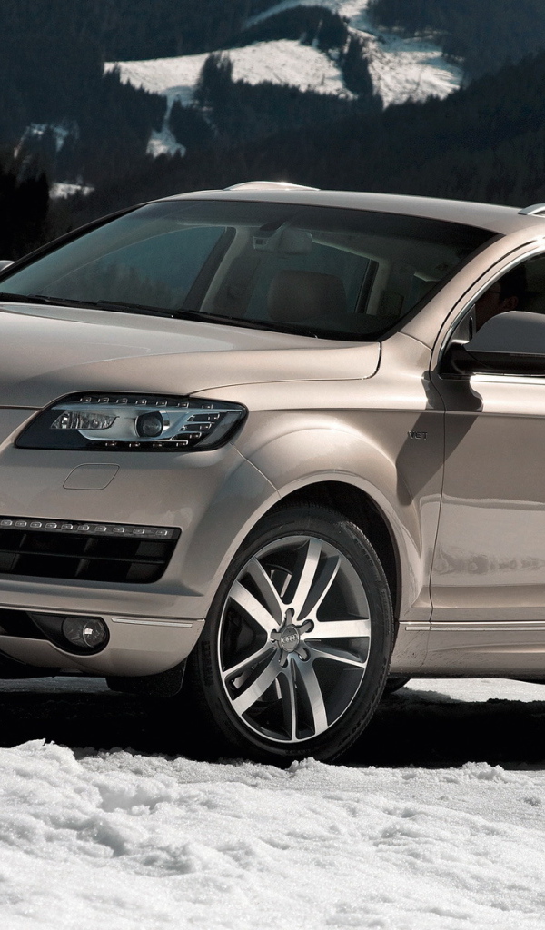 Покоритель горных дорог Audi Q7