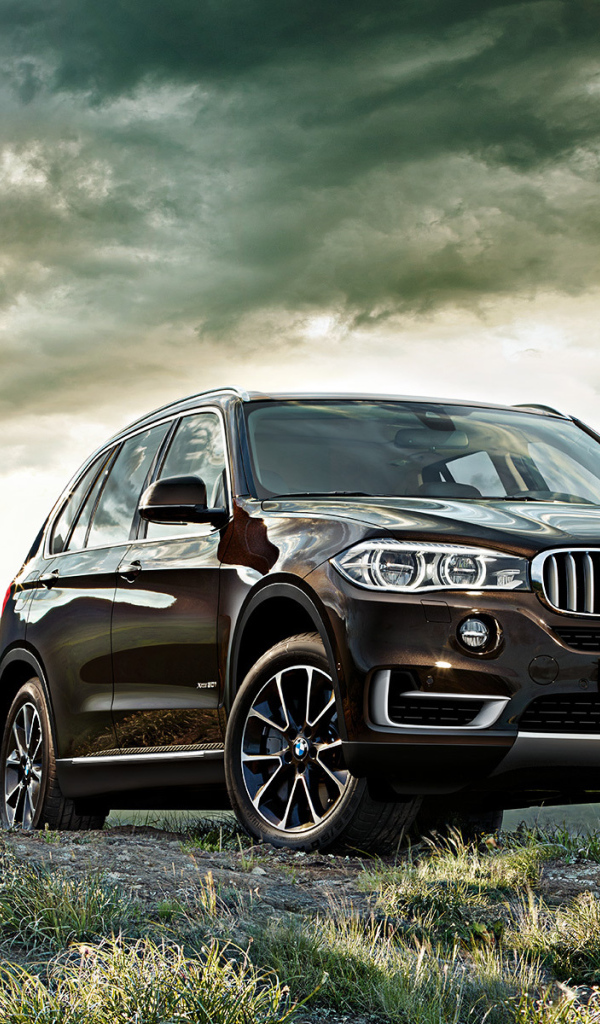 Автомобиль BMW X6 2014 года года на дороге