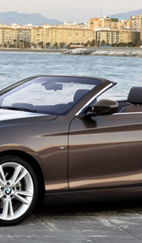 Фото автомобиля BMW 4-series 2014
