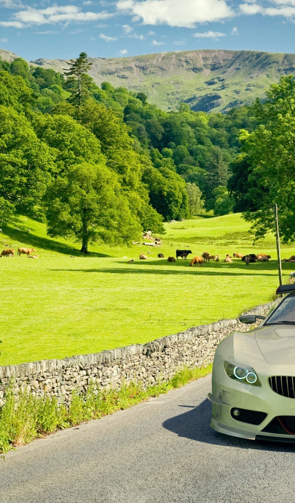 Автомобиль BMW на поле