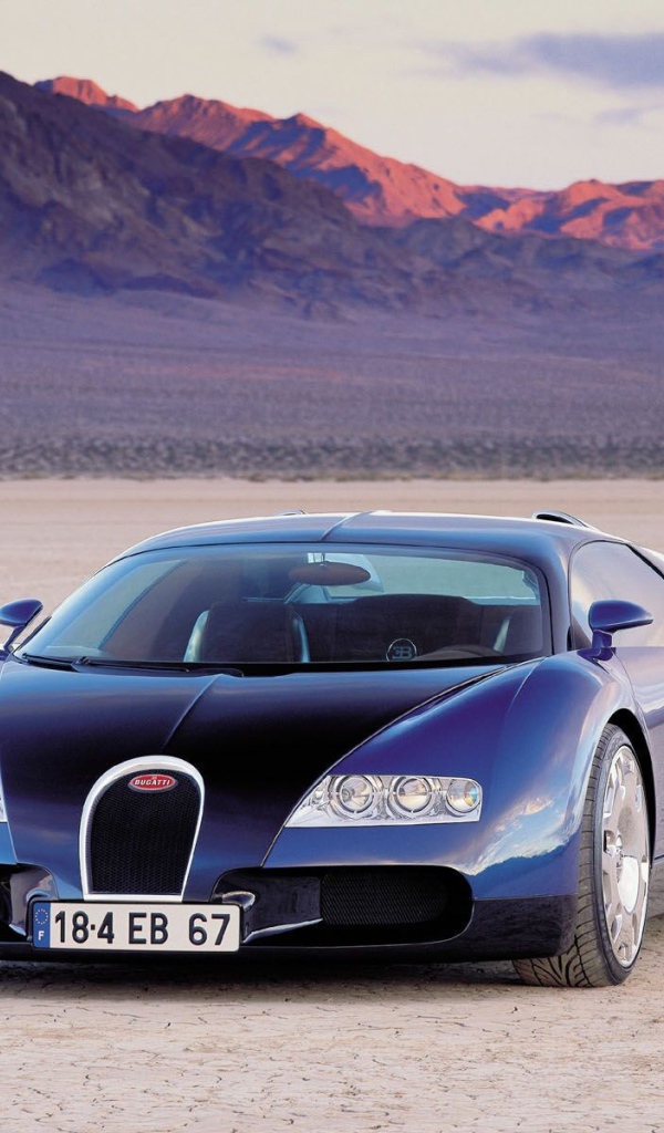 Bugatti Veyron supersport 16.4 на природе