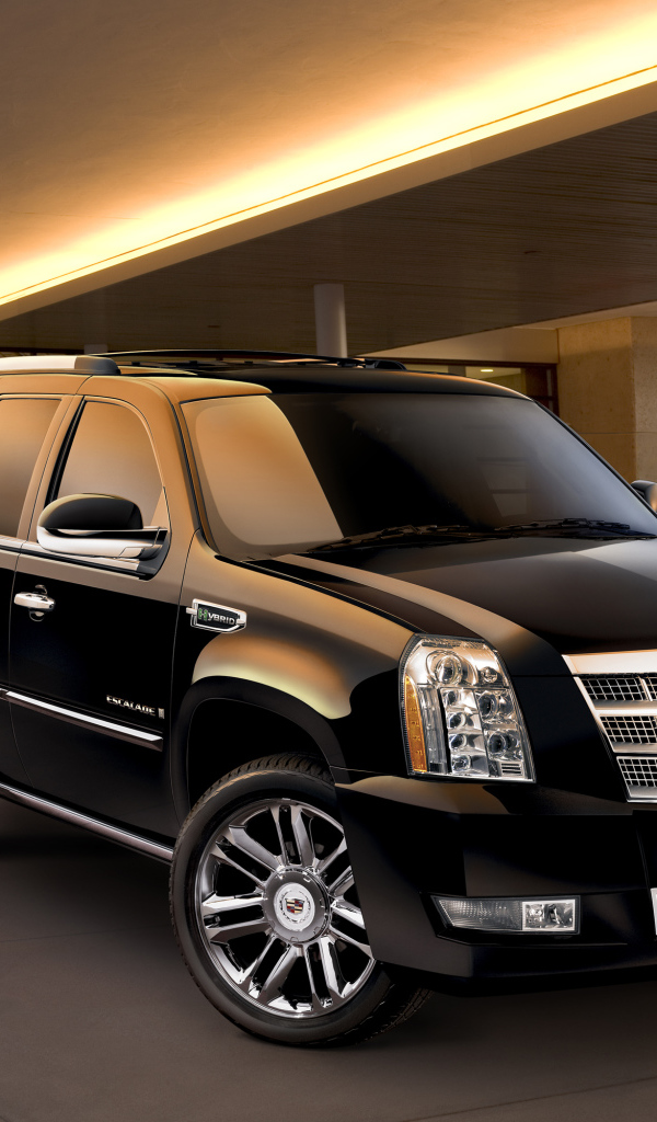 Домашний зверь Cadillac Escalade 2014