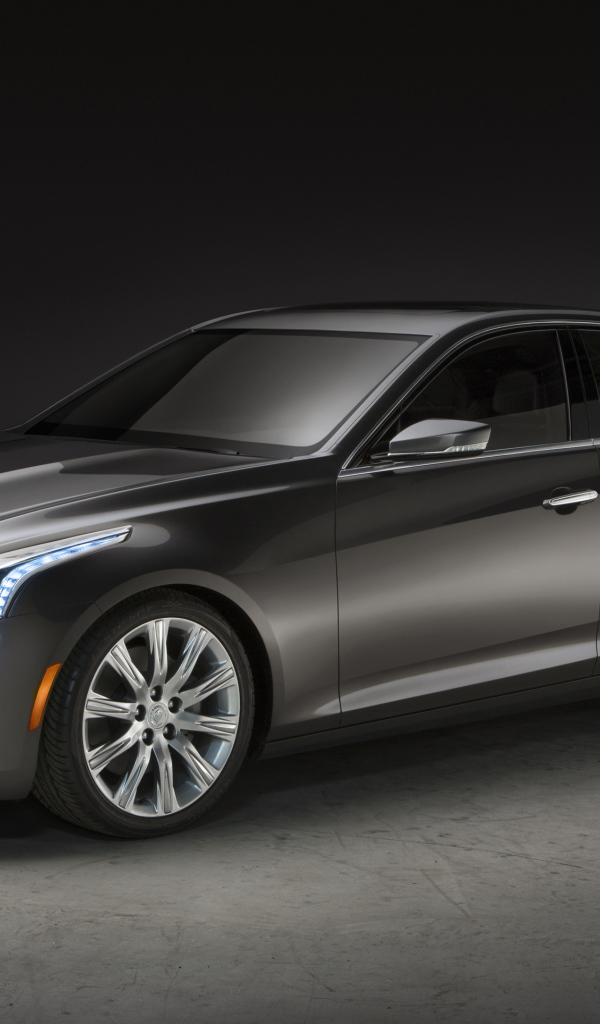 Тест драйв автомобиля Cadillac ERL 2014 года