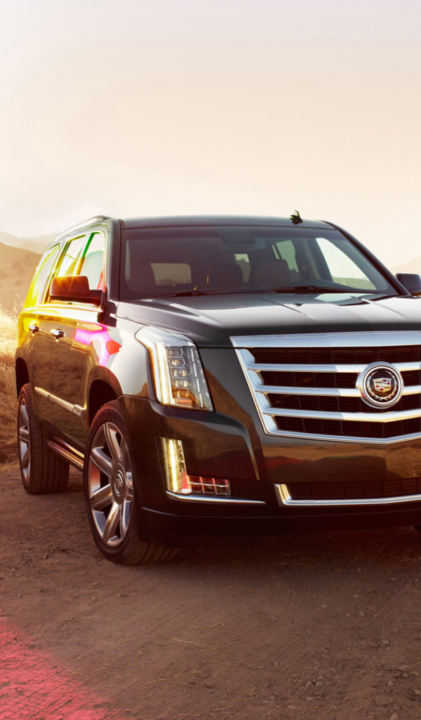 Путешественник Cadillac Escalade 2014