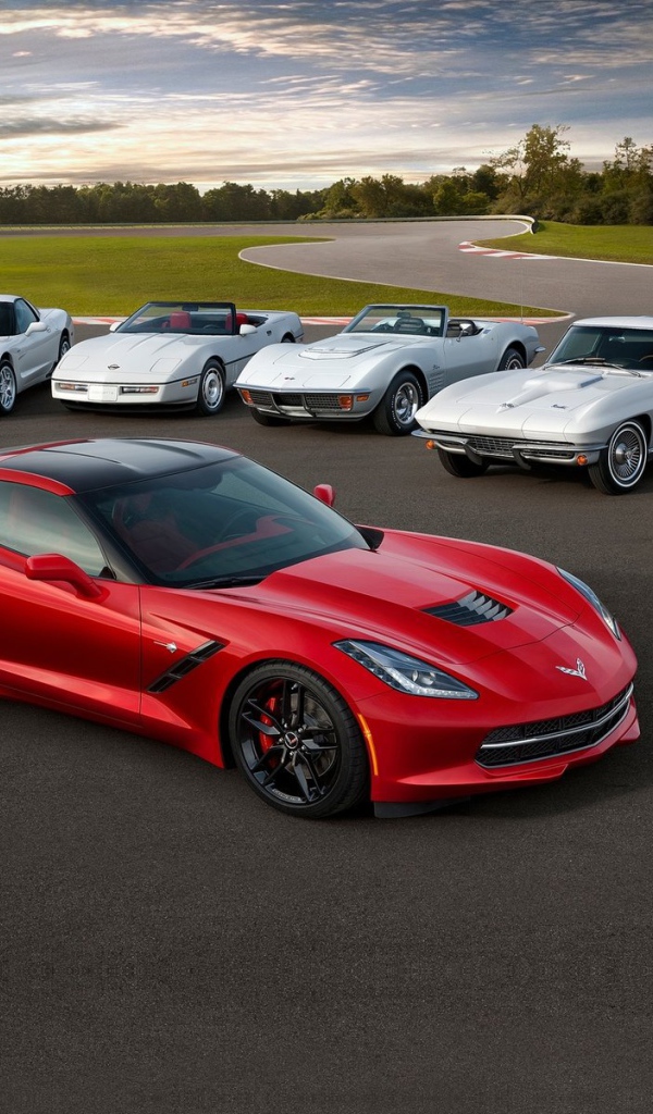 Надежный автомобиль Chevrolet Corvette 2014 года