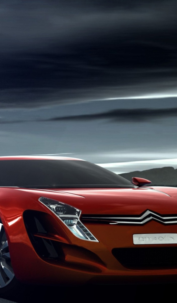 Красный Citroen C Metisse