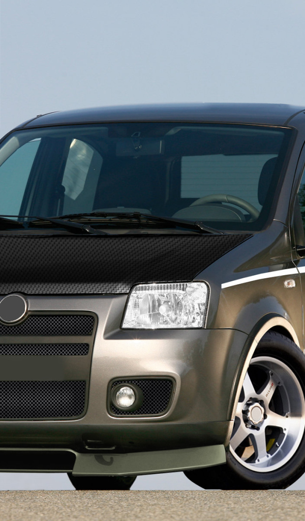 Красивый автомобиль Fiat Panda в Москве