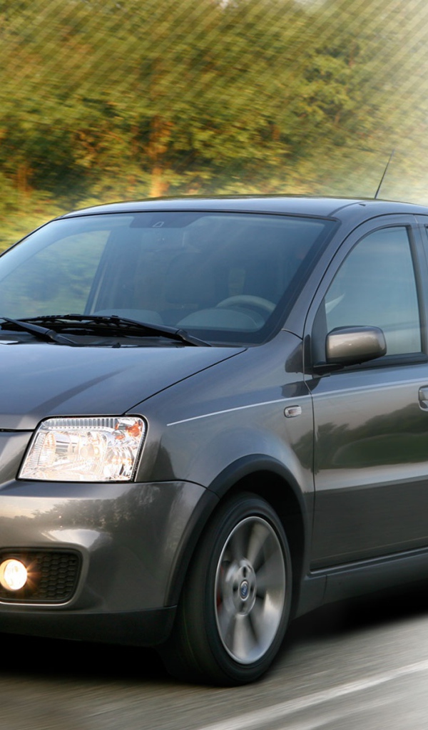 Автомобиль марки Fiat модели Panda