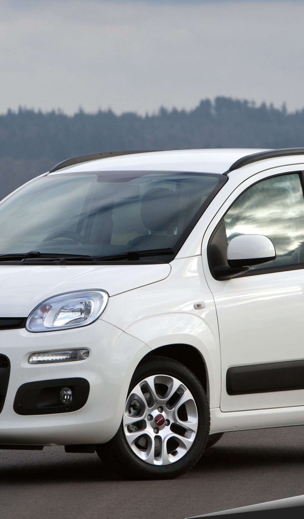 Дизайн автомобиля Fiat Panda