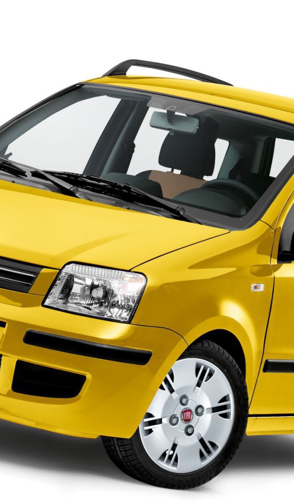 Тест драйв автомобиля Fiat Panda