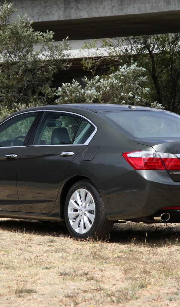 Красивый автомобиль Honda Accord 2013