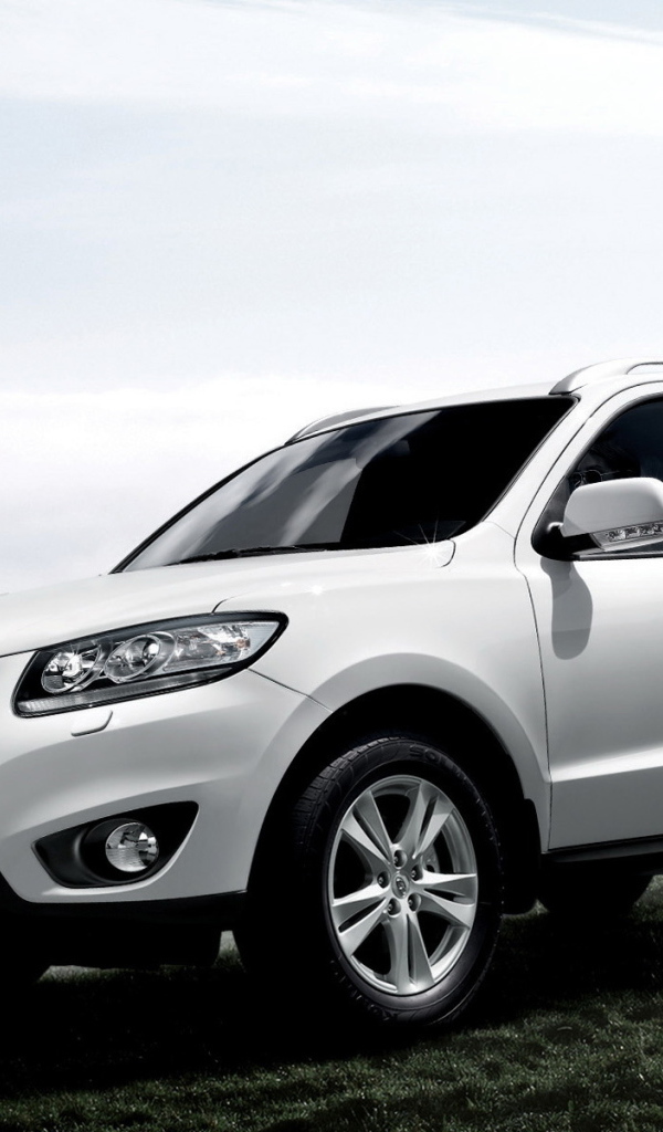 Тест драйв автомобиля Hyundai Santa fe