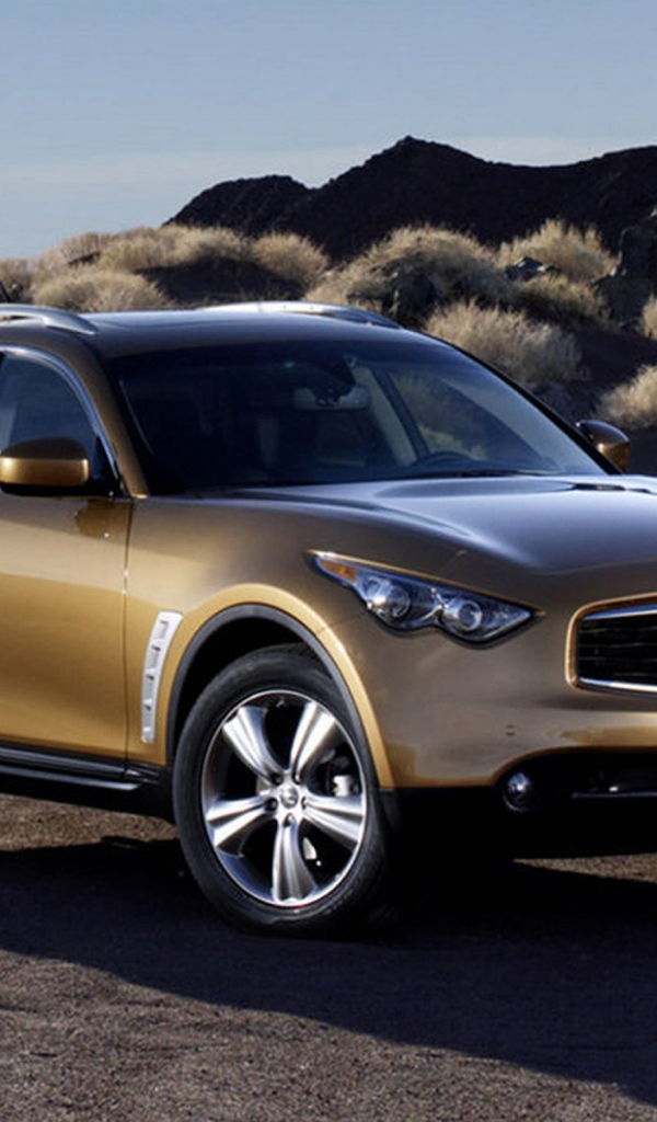 Infiniti FX35 на природе