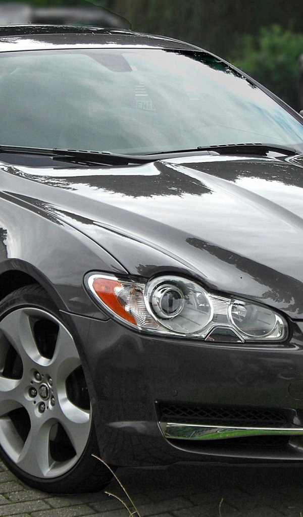Черный Jaguar XF