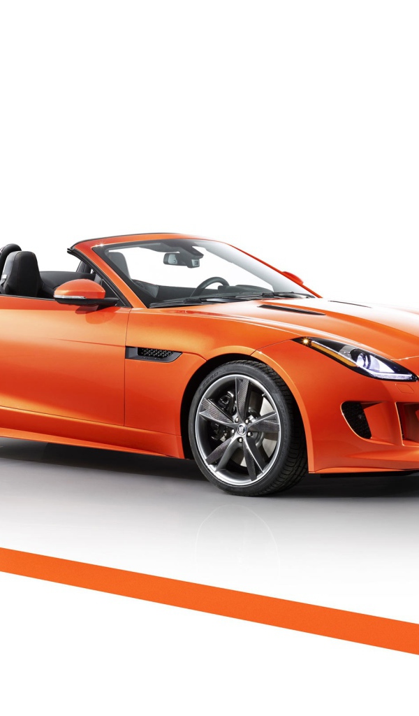 Оранжевый Jaguar