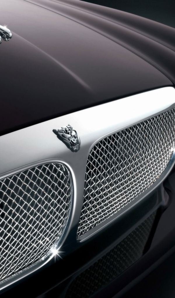 Передок Ягуара