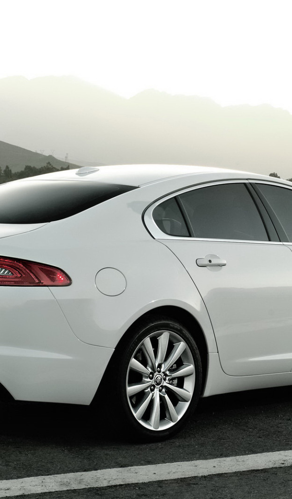 Белый Jaguar XF