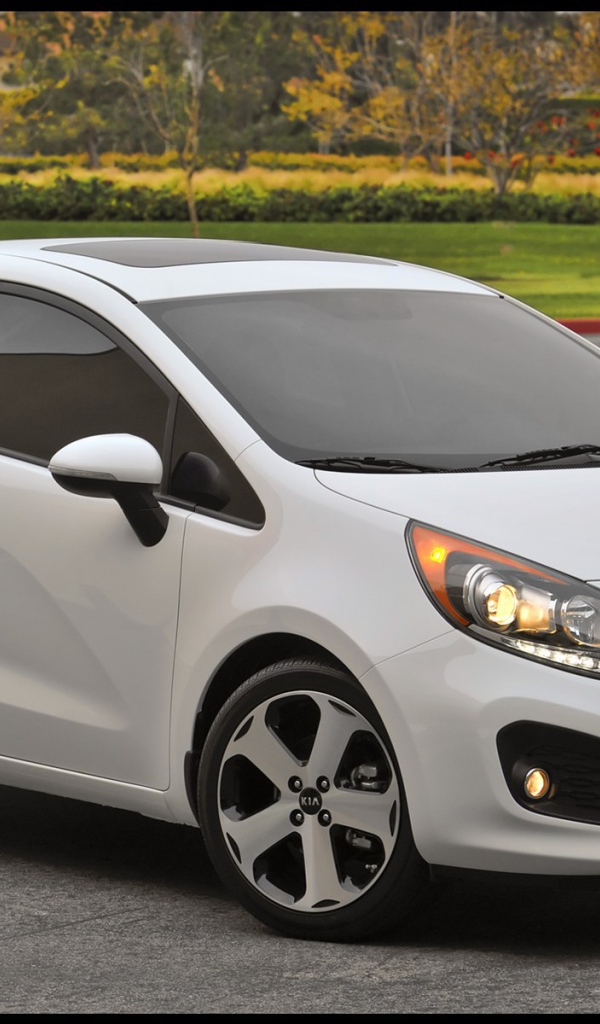 Красивый автомобиль Kia  Rio в Москве