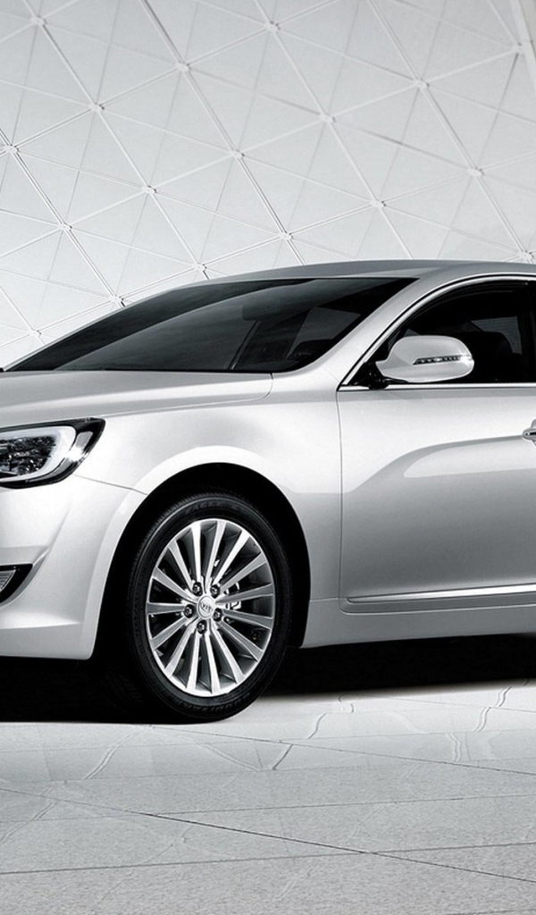 Фото автомобиля Kia Cadenza 2014 года