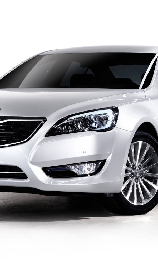 Тест драйв автомобиля Kia Cadenza 2014 года