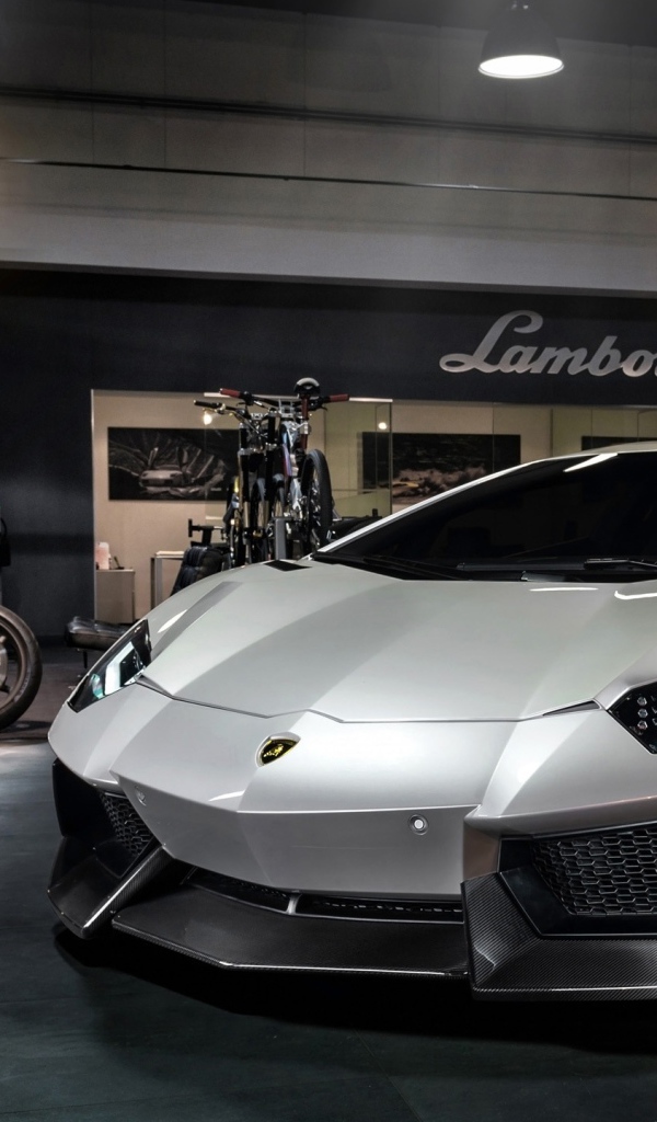 Серебристый Lamborghini Aventador