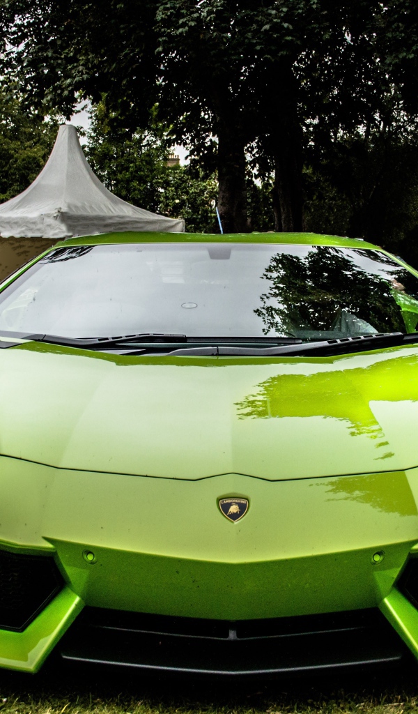 Зеленый Ламборджини