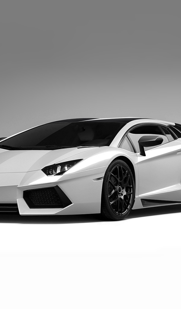 Белый Lamborghini aventador