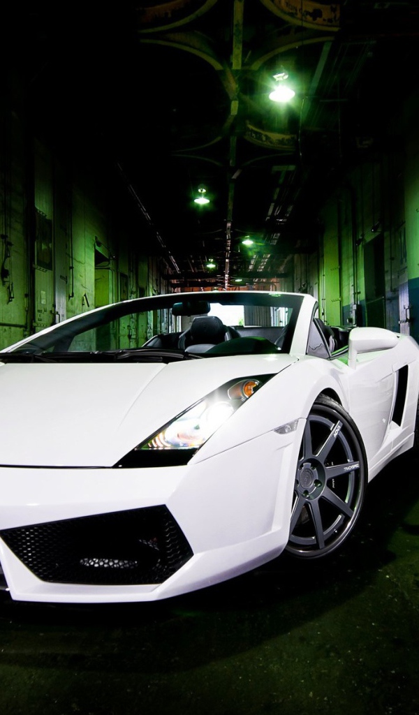 Белый Lamborghini gallardo spyder