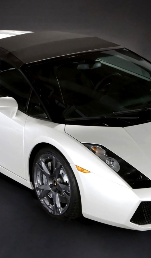 Черно белый Lamborghini 